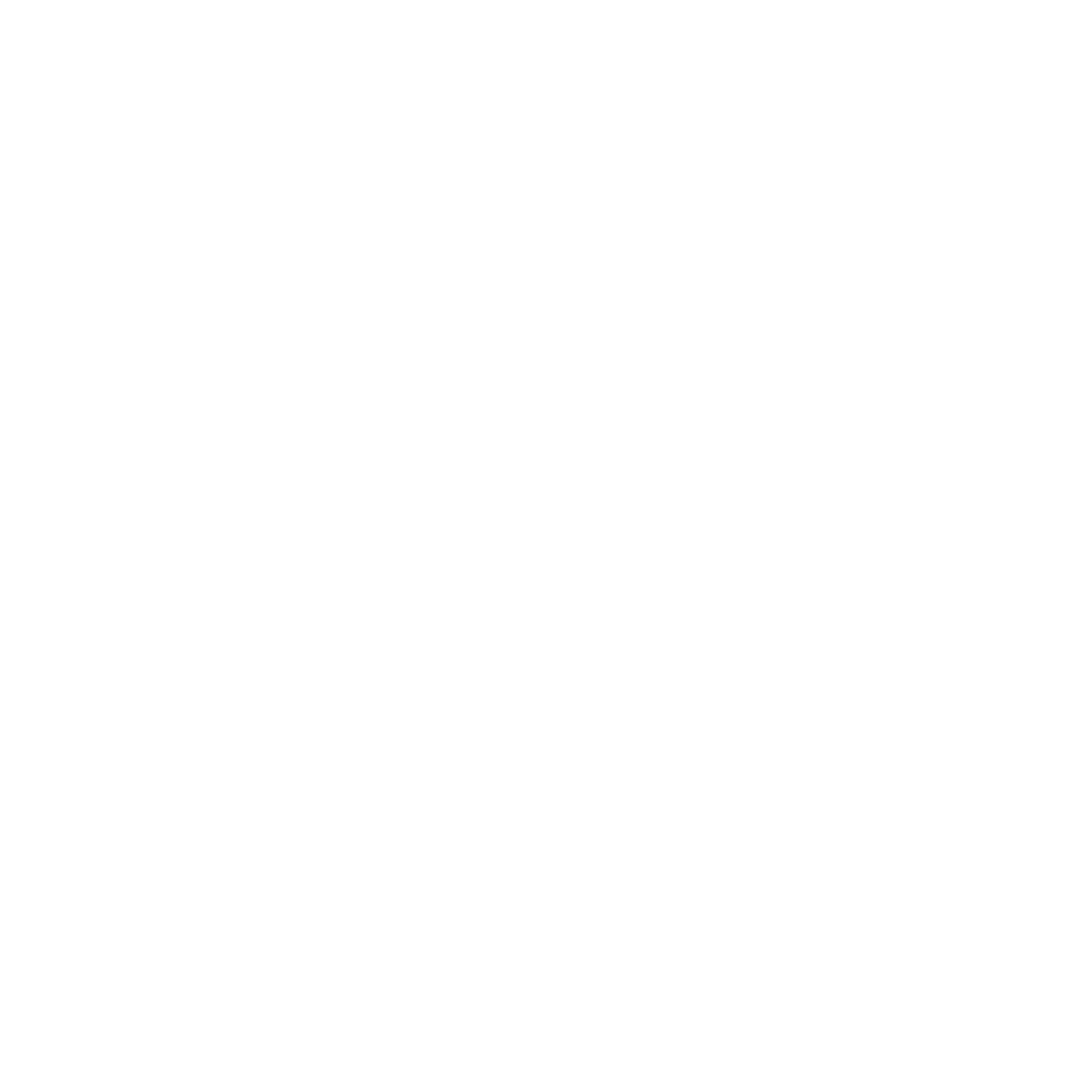 Brain